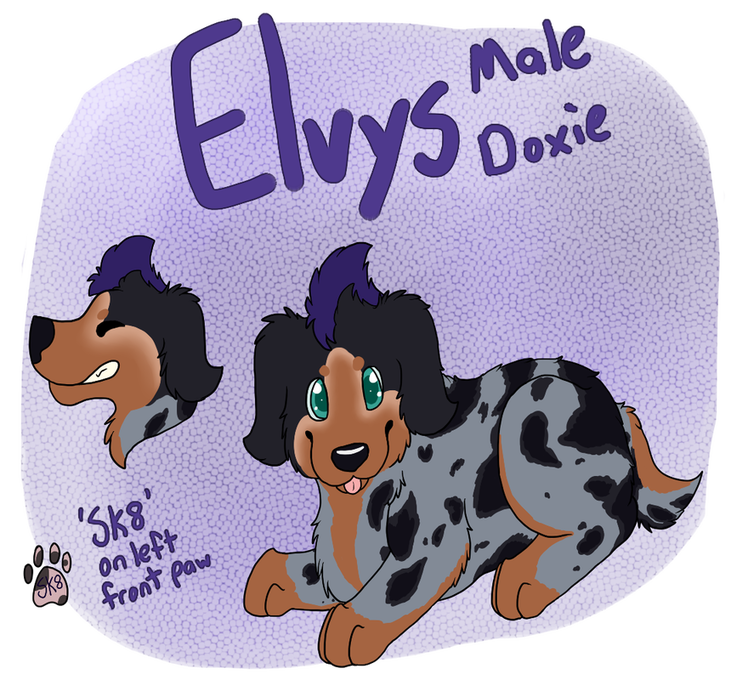Elvys - Teeny-Tenne's characters